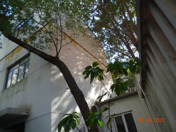 長寧區(qū)延安西路593號2號樓、3號樓安全性檢測-終版 長寧區(qū)延安西路593號2號樓、3號樓安全性檢測-終版